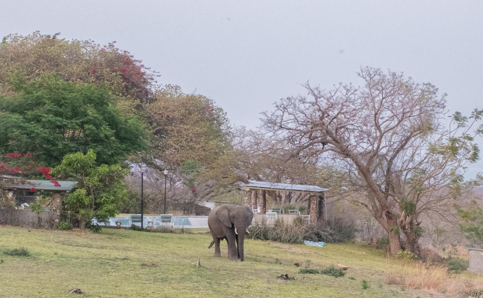 Musungwa Safari Lodge Shanjungu エクステリア 写真